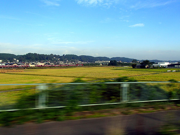 貨物列車に遭遇